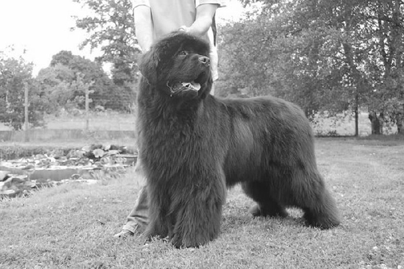 Publication : De la baie de pempoul