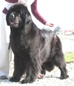 Publication : De la baie de pempoul