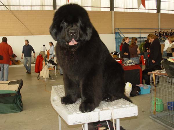 Publication : De la baie de pempoul