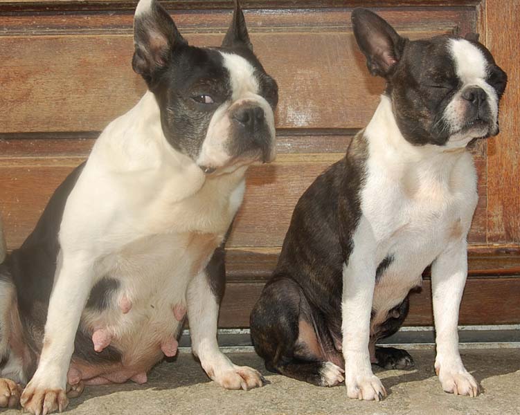 Publication : De la baie de pempoul