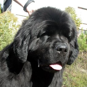 Publication : De la baie de pempoul