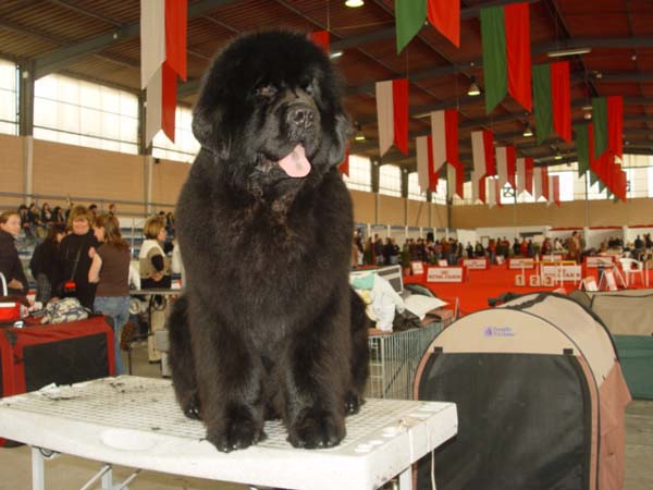 Publication : De la baie de pempoul