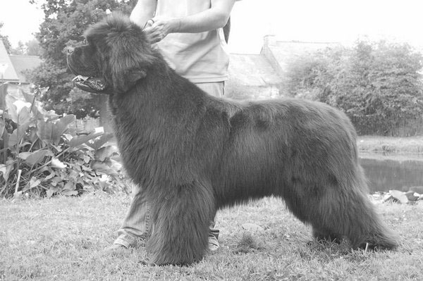 Publication : De la baie de pempoul