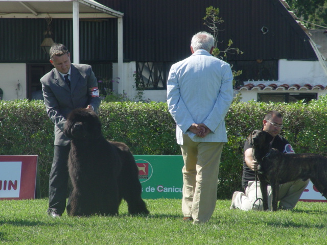 Publication : De la baie de pempoul