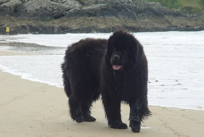Publication : De la baie de pempoul