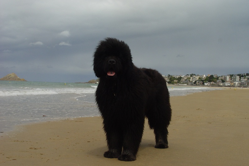 Publication : De la baie de pempoul