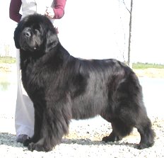 Publication : De la baie de pempoul