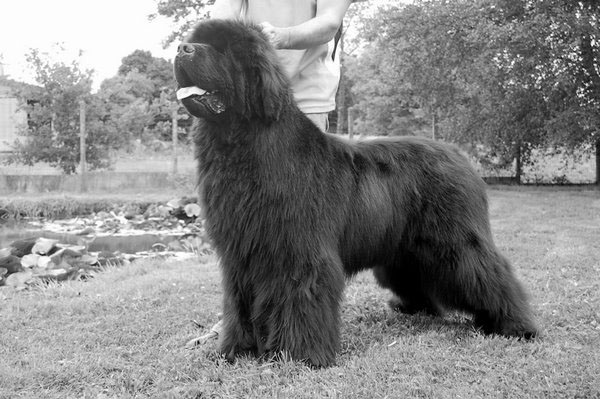 Publication : De la baie de pempoul