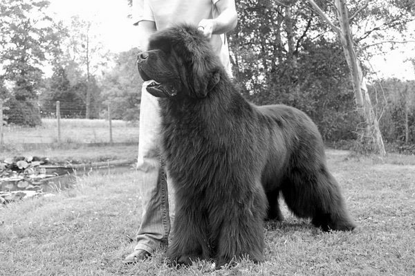 Publication : De la baie de pempoul