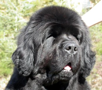 Publication : De la baie de pempoul