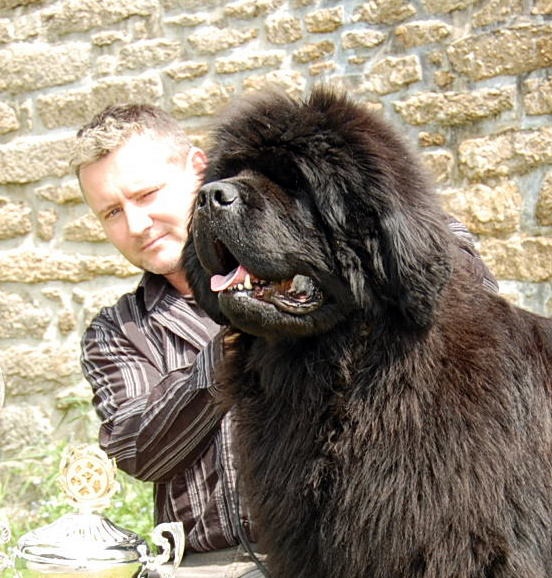 CH. Fairweather's I'm a believer dit mickael - CACIB ET MEILLEUR DE RACE