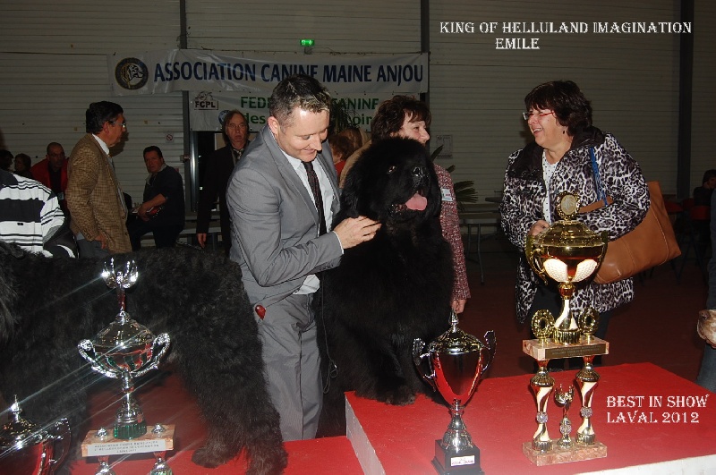 CH. king of helluland Imagination dit emile - BOB BOG BIS