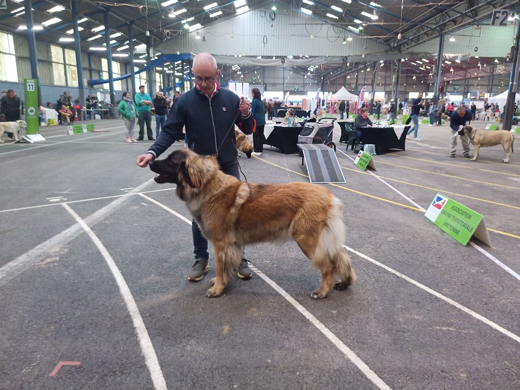 Publication : An nor digor Auteur : claire GEFFROY