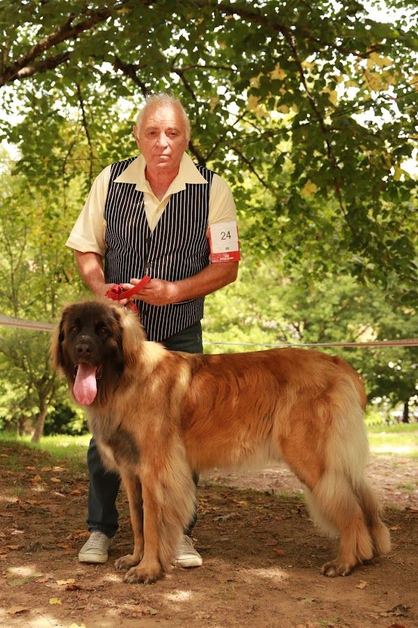 V'aitana An nor digor - 3ème EXC