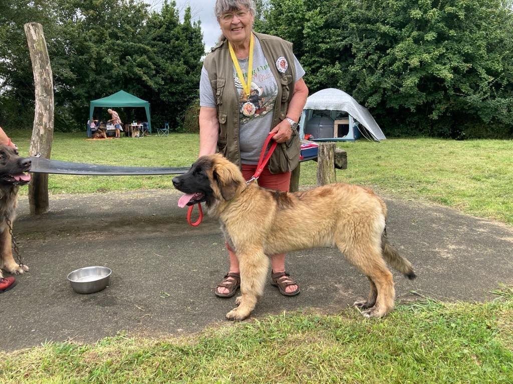 V'aitana An nor digor - 1er prometteur