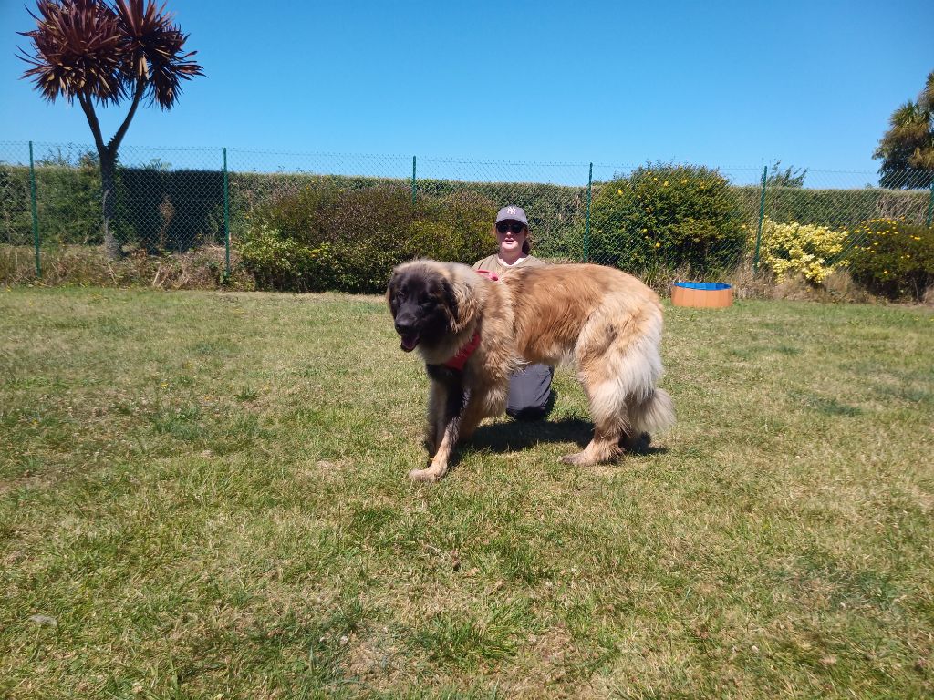 V'aitana An nor digor - 2ème EXC