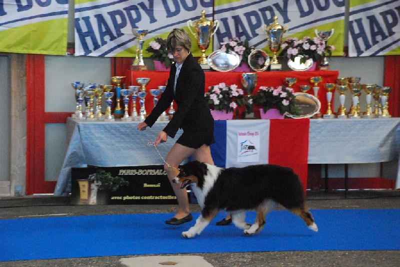 Hooky wooky of Angels Mind - Exc sélectionnés. Dans les dix premiers de sa classe (une petite quarantaine)