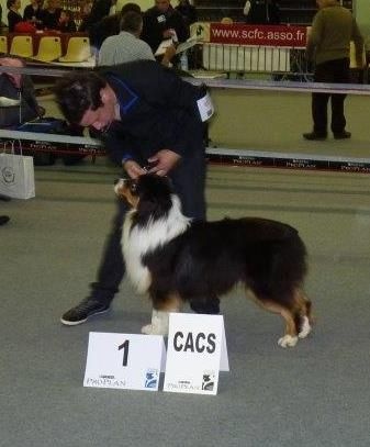 Hooky wooky of Angels Mind - CACS