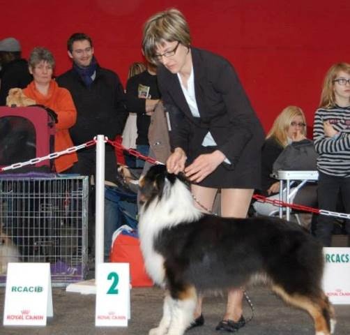 Hooky wooky of Angels Mind - CAC et RCACIB