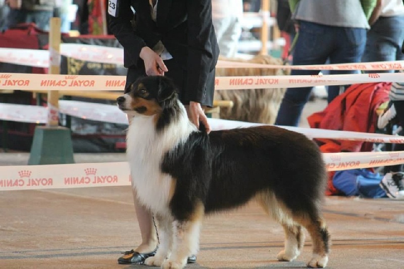 Hooky wooky of Angels Mind - 3ème EXC