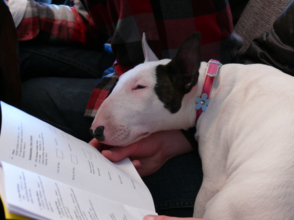 Publication : UNFAILLING Auteur : élodie segard