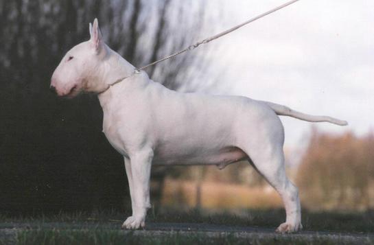 Publication : des Prés D'Hermare