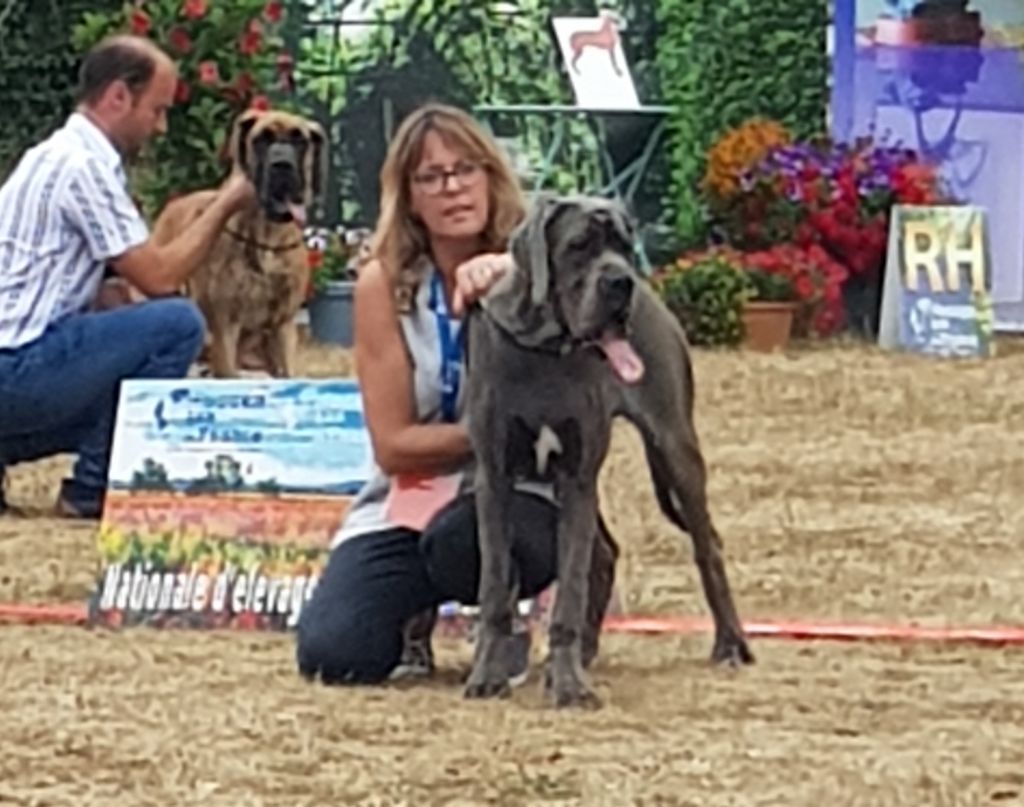 Opaline de la Benjamine - Très Prometteur