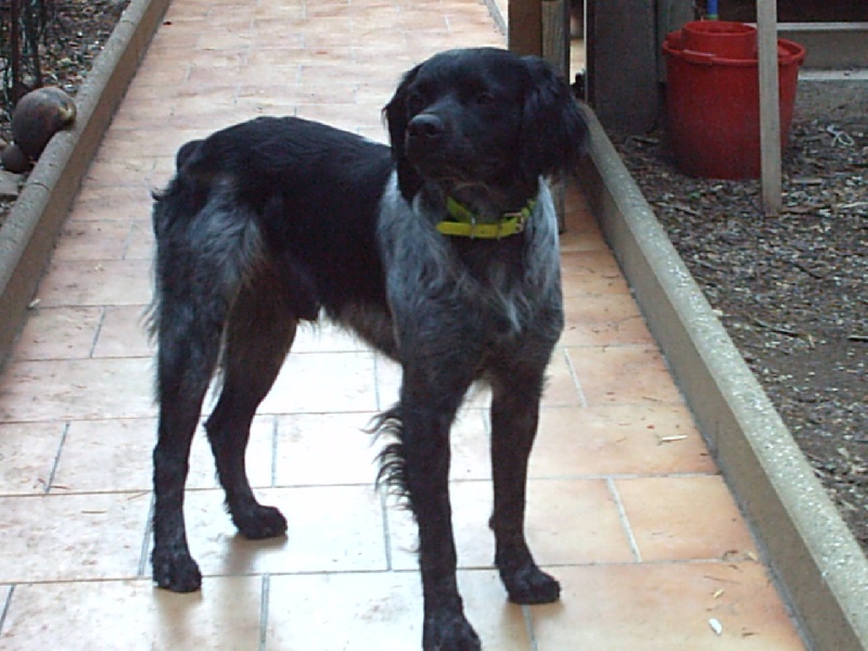 Publication : De la Pinède aux Oliviers