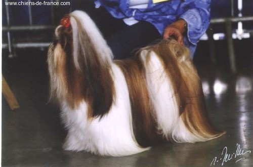 Top model dite topie Du domaine des atlantes - classe ouverte 3ième exc