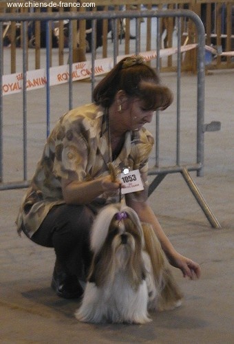 Top model dite topie Du domaine des atlantes - classe ouverte 1ère exc CACS