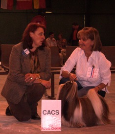 Viken's Du domaine des atlantes - meilleur de race et 3ième au ring d'honneur