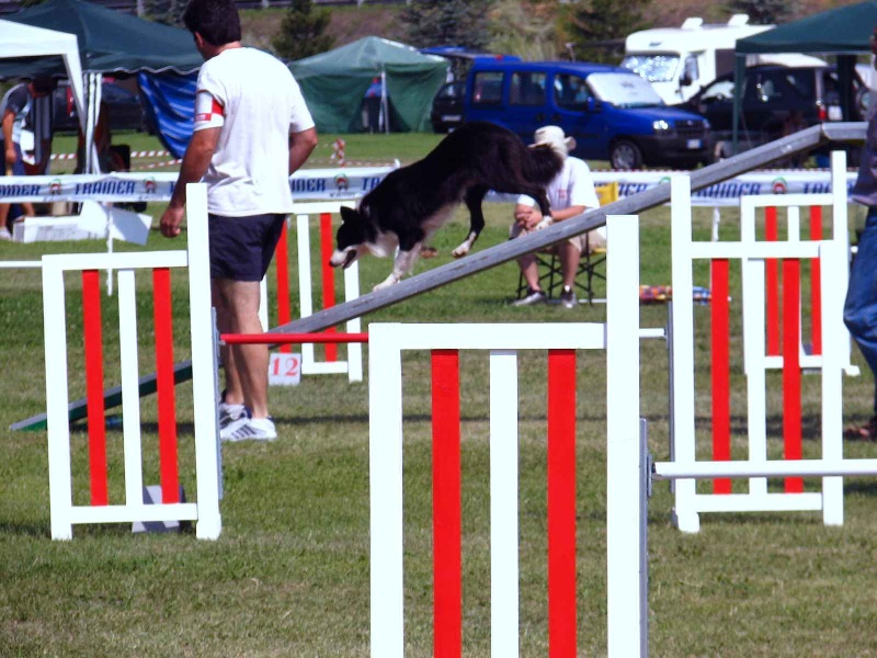 Publication : de la bergerie de morgane