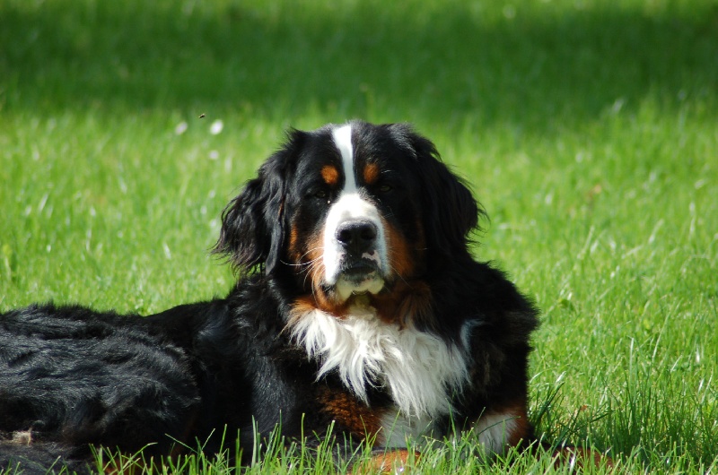 Azimut (Sans Affixe)