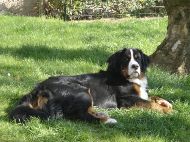Azimut (Sans Affixe)