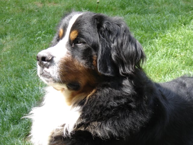 Azimut (Sans Affixe)