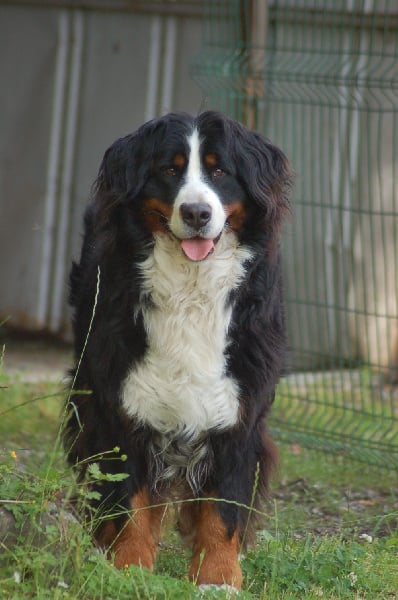 Anoushka (Sans Affixe)