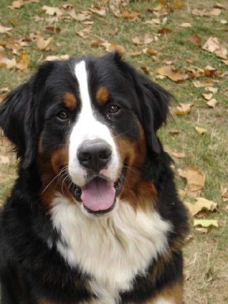 Azimut (Sans Affixe)