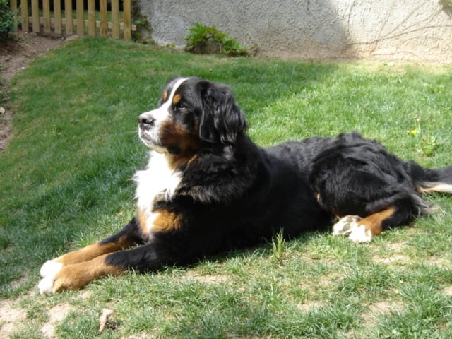 Azimut (Sans Affixe)