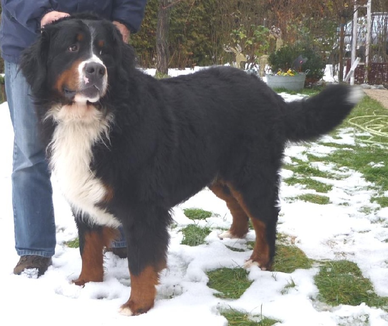 Publication : Des Pays Cévenols