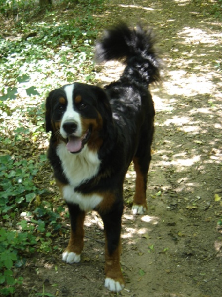 Azimut (Sans Affixe)