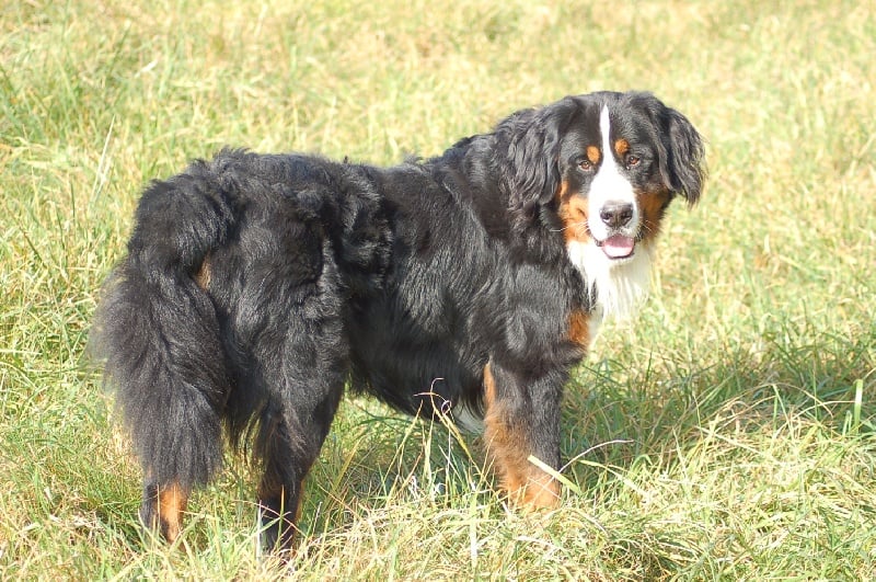 Azimut (Sans Affixe)