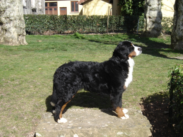 Anoushka (Sans Affixe)