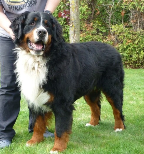 Publication : Des Pays Cévenols