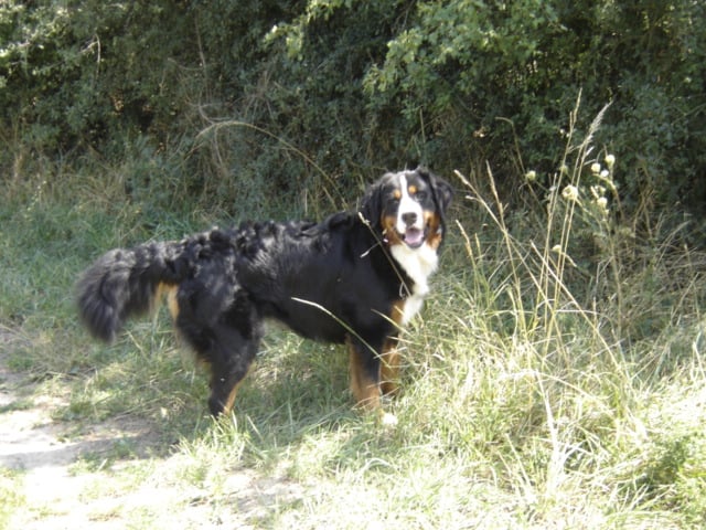 Azimut (Sans Affixe)
