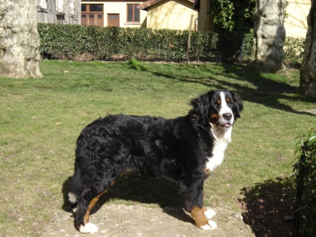 Anoushka (Sans Affixe)