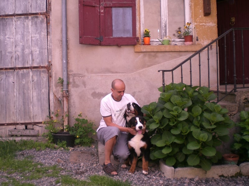 Cévennes du Haras de la Vergne