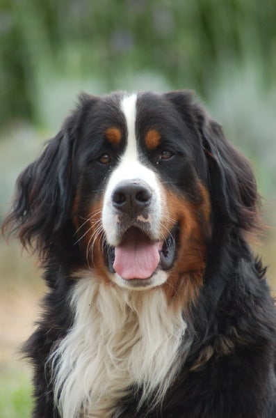 Azimut (Sans Affixe)