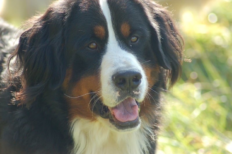 Azimut (Sans Affixe)