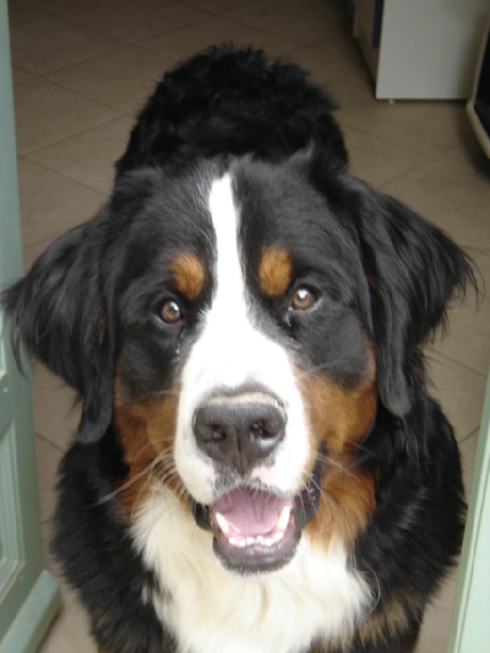 Azimut (Sans Affixe)