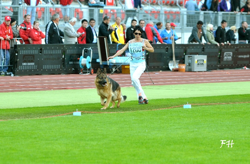 CH. VA1 Cirrius Vom haus thalie - V 6